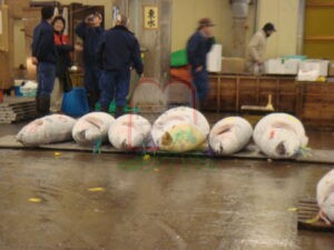 מכירה בתחרות פומבית בשוק הדגים ביפן