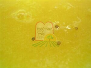 פירות הדר- מחית תפוזים קפוא (שמעובד יחד עם גרידת הקליפה) עם כנימות מגן שצפות למעלה