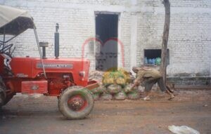 החלפת השקיות עם הקומפוסט בבית גידול לפטריות בצ'נדיגר – הודו
