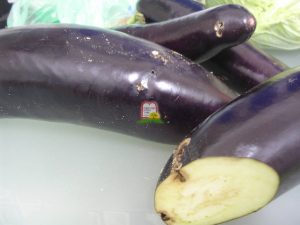 חציל - המכון למצוות התלויות בארץ