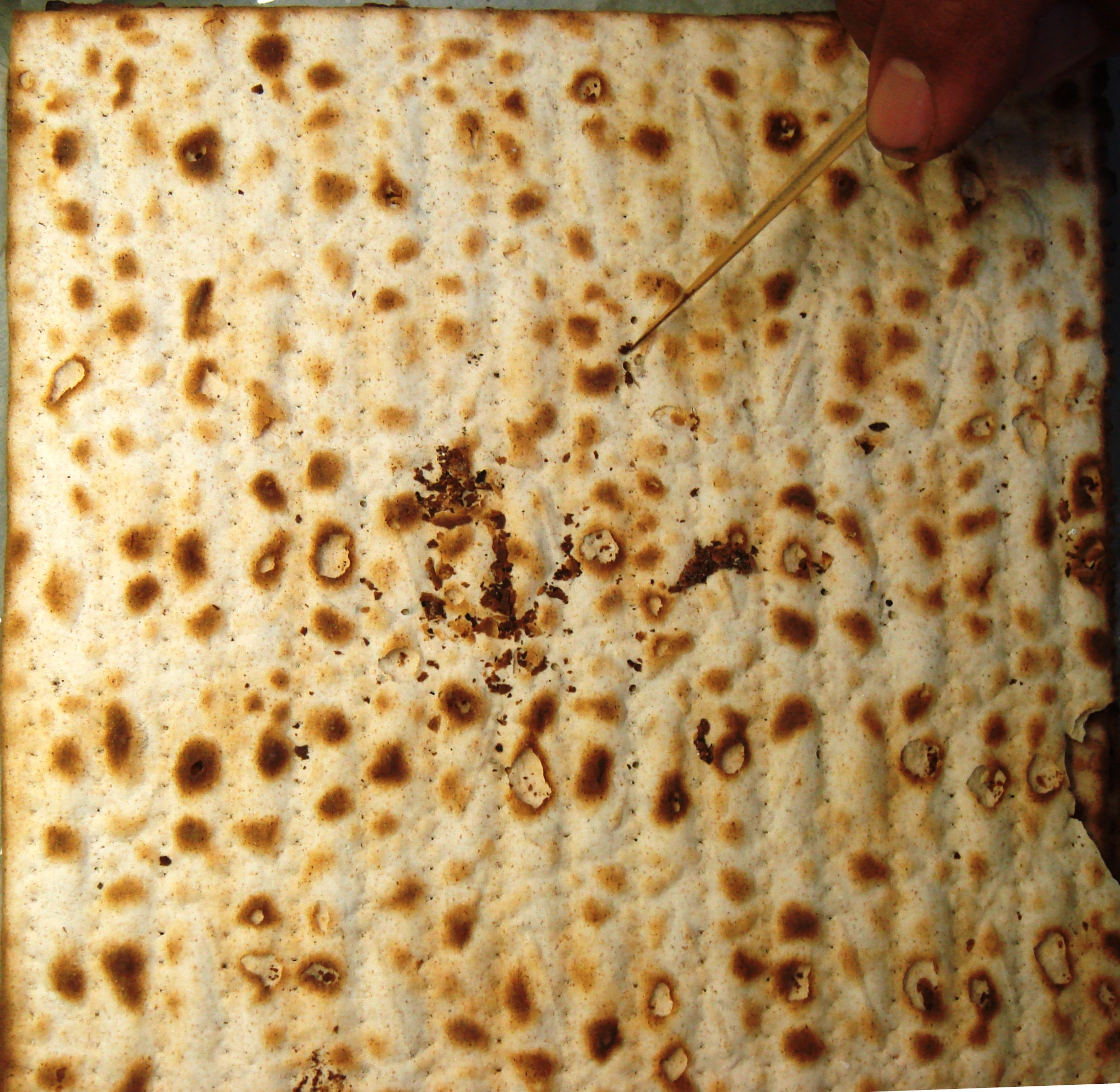 מצות - המכון למצוות התלויות בארץ