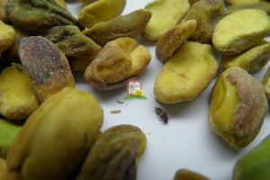 אגוז פיסטוק/גן עדן/אלה/בטנה - המכון למצוות התלויות בארץ