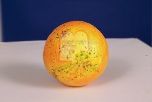 המכון למצוות התלויות בארץ