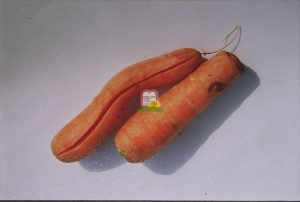 גזר - המכון למצוות התלויות בארץ