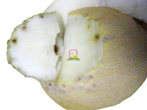 מלון - המכון למצוות התלויות בארץ