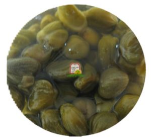צלף - המכון למצוות התלויות בארץ