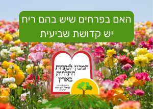 האם בפרחים שיש בהם ריח יש קדושת שביעית - המכון למצוות התלויות בארץ