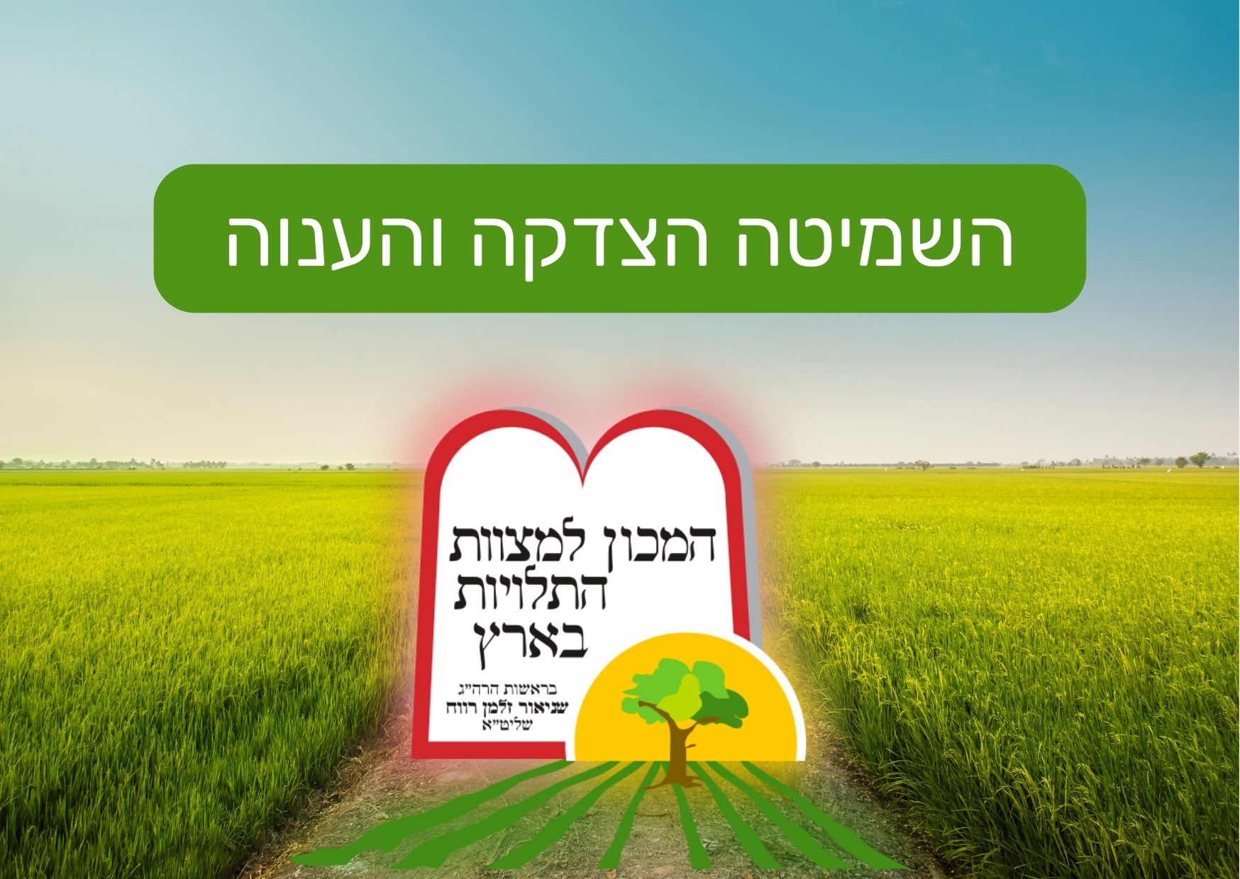 ירקות עלים ללא הכשר מחרקים - המכון למצוות התלויות בארץ