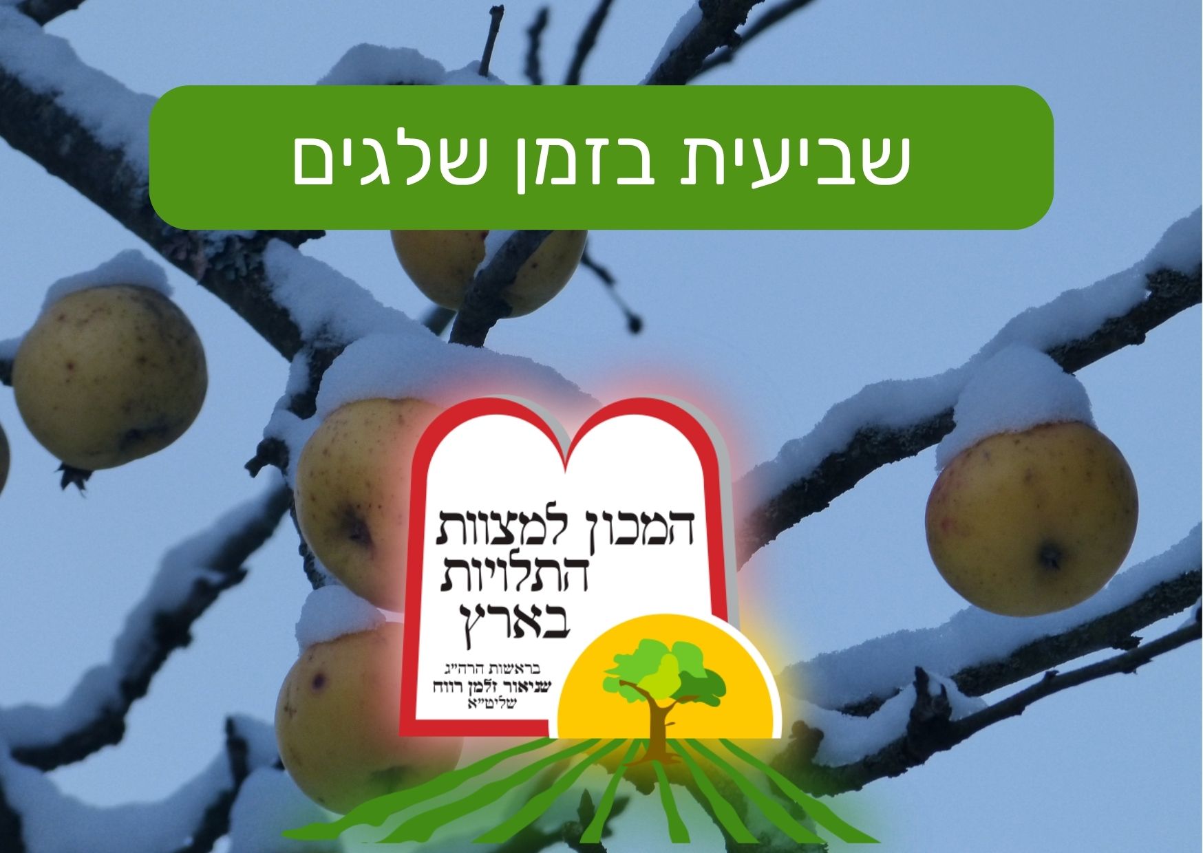 שביעית בזמן שלגים – מתוך ספר הנותן שלג כת"י - המכון למצוות התלויות בארץ