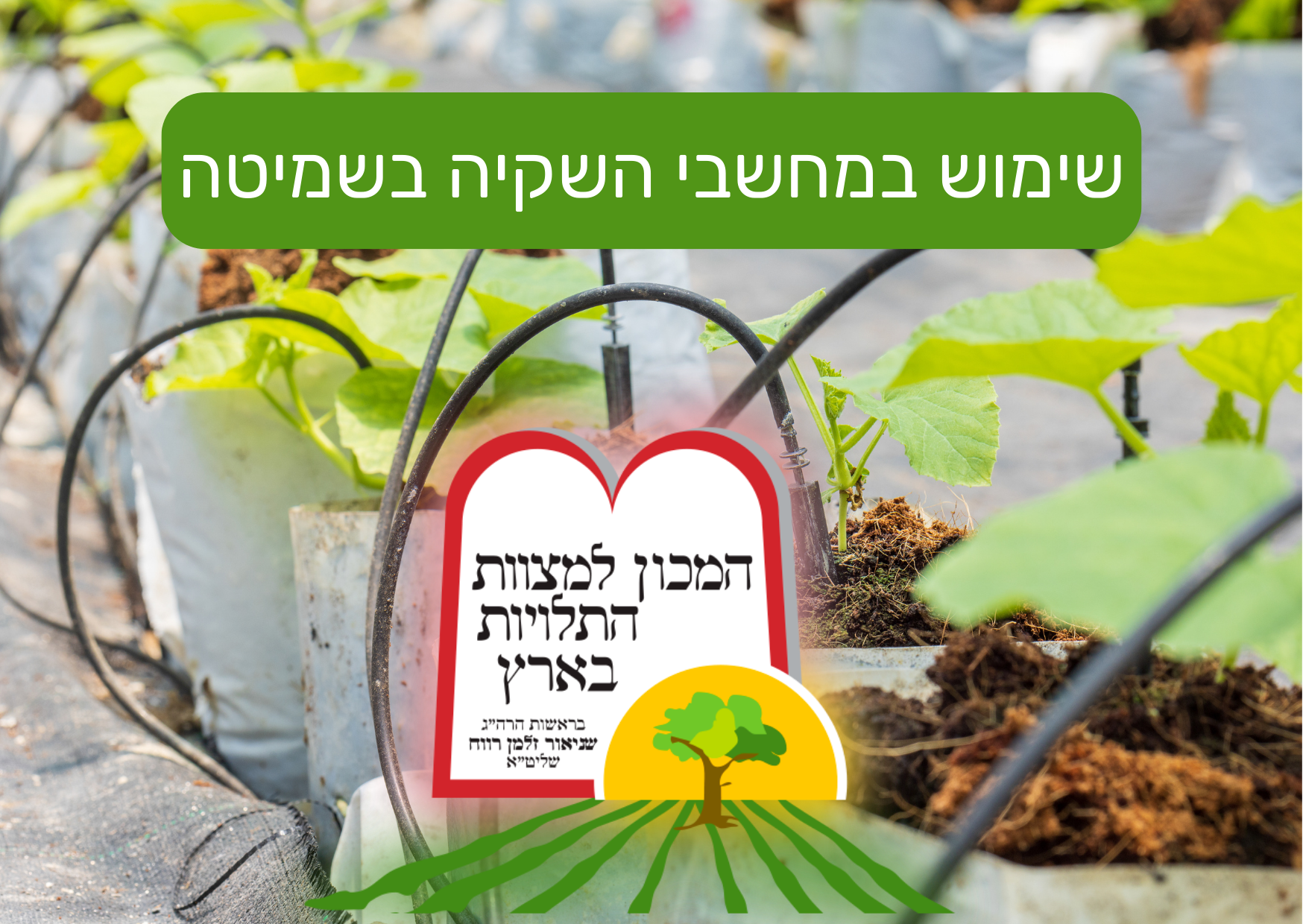 שימוש במחשבי השקיה בשמיטה - המכון למצוות התלויות בארץ