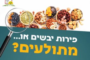 פירות לט"ו בשבט – המדריך המלא לבדיקת חרקים ותולעים - המכון למצוות התלויות בארץ